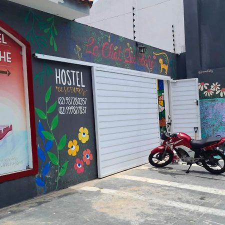 Maceió "Le Chat Qui Peche" Hostel A 150 Metros Da Praia De Pajucara المظهر الخارجي الصورة